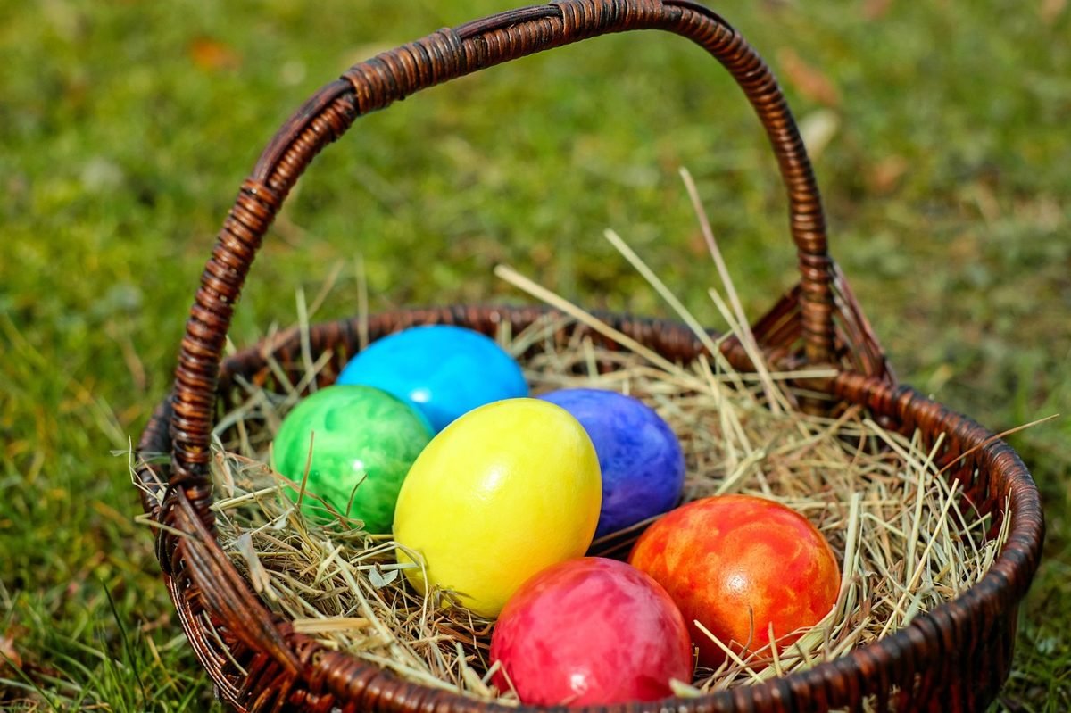 Basket of eggs as a picture of diversification in index funds vs ETFs