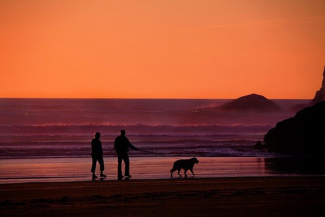 Grandparents walking their dog, a retirement worth saving for in your 30s