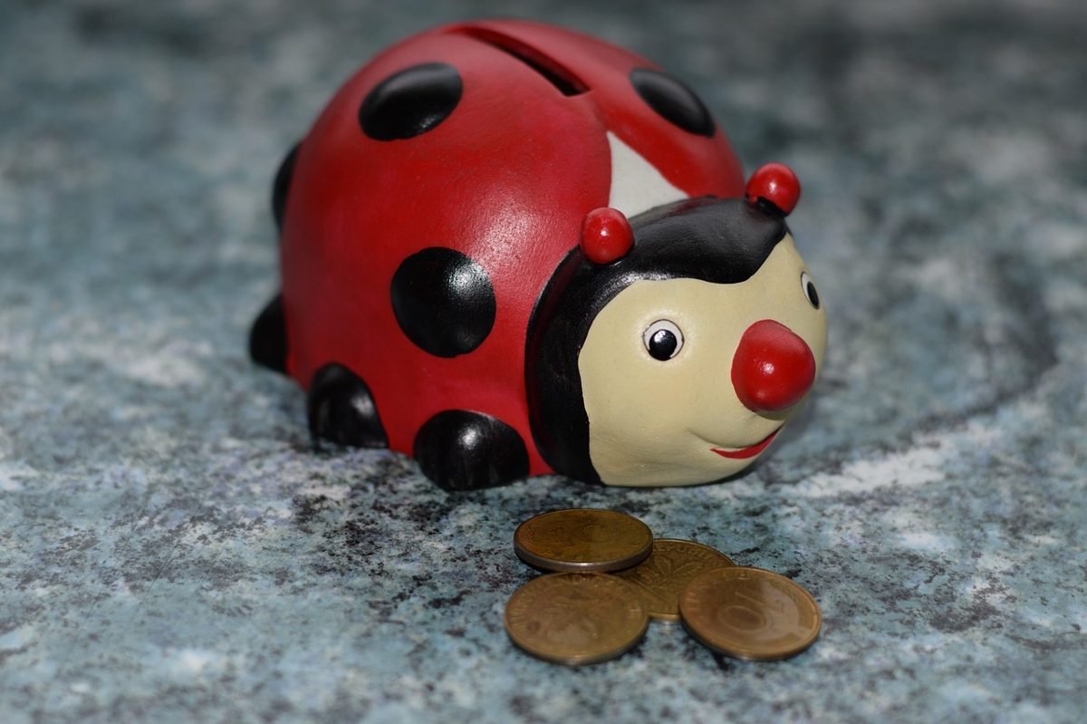Ladybug piggy bank and coins for an irregular expenses sinking fund