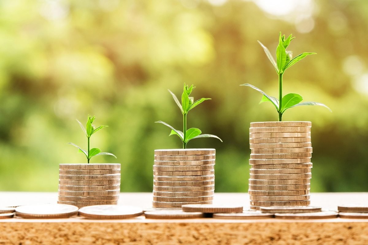 Seedlings growing on coin stacks showing compound interest
